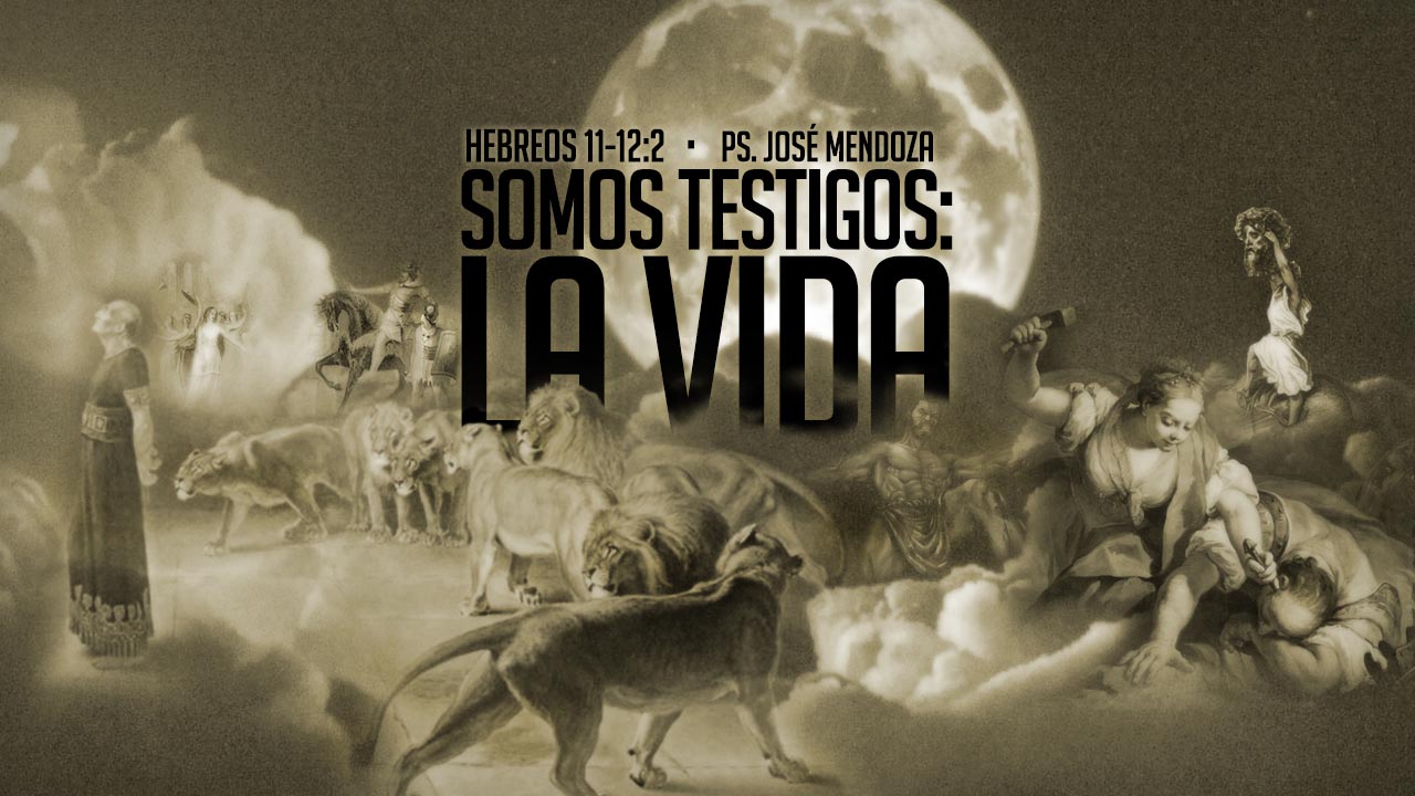 Somos testigos: La vida