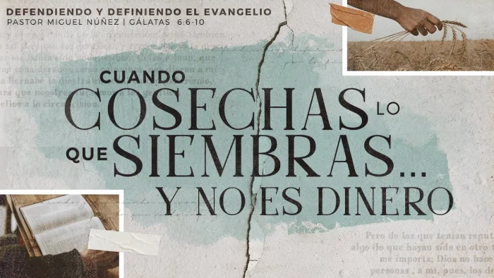 Cuando cosechas lo que siembras... y no es dinero