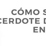 ShowcaseI&S_Artículo_2020-04-17