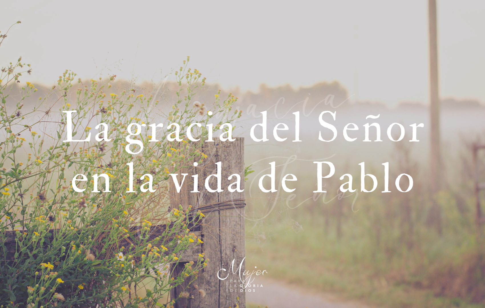 gracia de dios