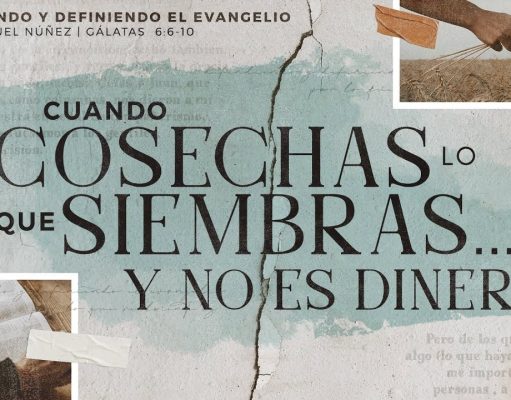 Cuando cosechas lo que siembras… y no es dinero