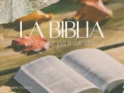La Biblia: una guía para la vida