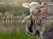 La misericordia de Dios en la elección de los suyos