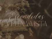Escondidas a plena vista