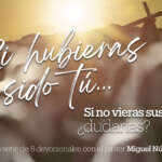 SHST-Pantalla D-6