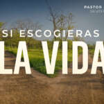 2025-07-06-LA VIDA PANTALLAs