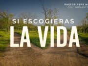 Si escogieras la vida