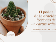 El poder de la oración: lecciones de un cactus sediento