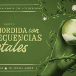 2025-10-26-caidaestrep-DOMMAIN