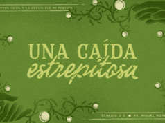 Una caída estrepitosa