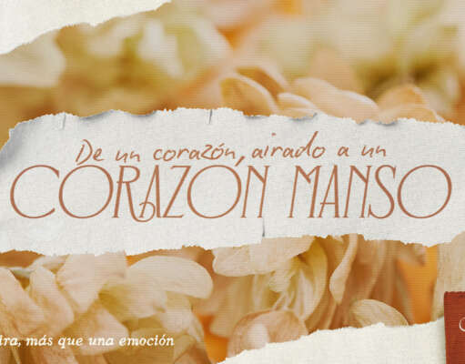 De un corazón airado a un corazón manso